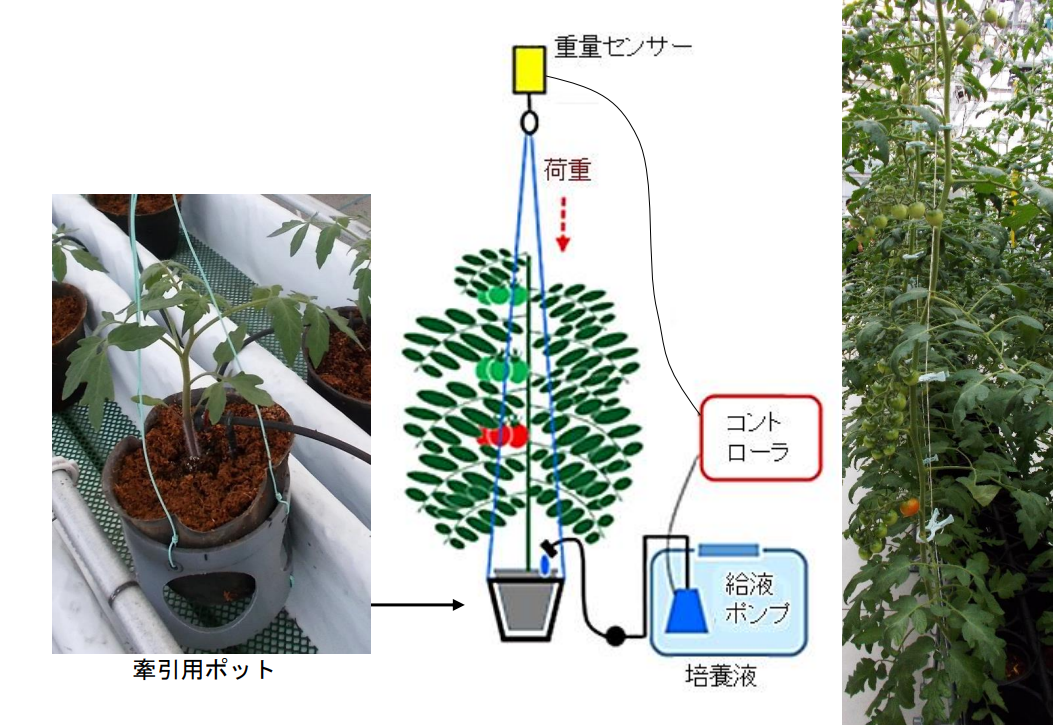 かん水コントローラー