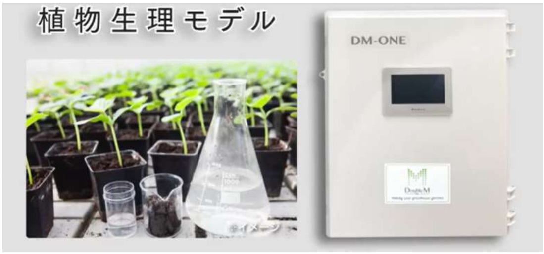 DM1